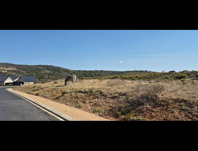 LAND FOR SALE IN OUTENIQUASBOSCH